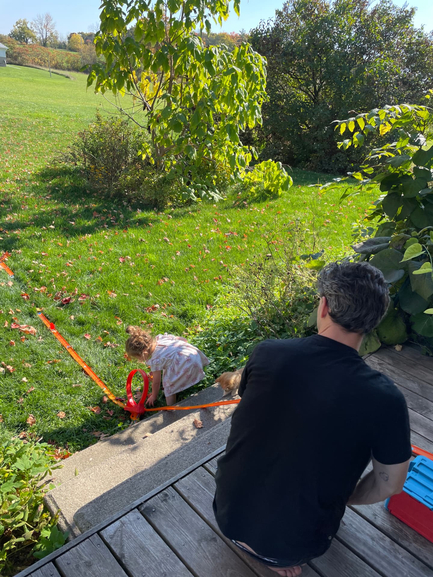 A quiet afternoon in the backyard